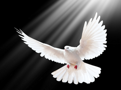 Conheça a Deus, conheça a paz